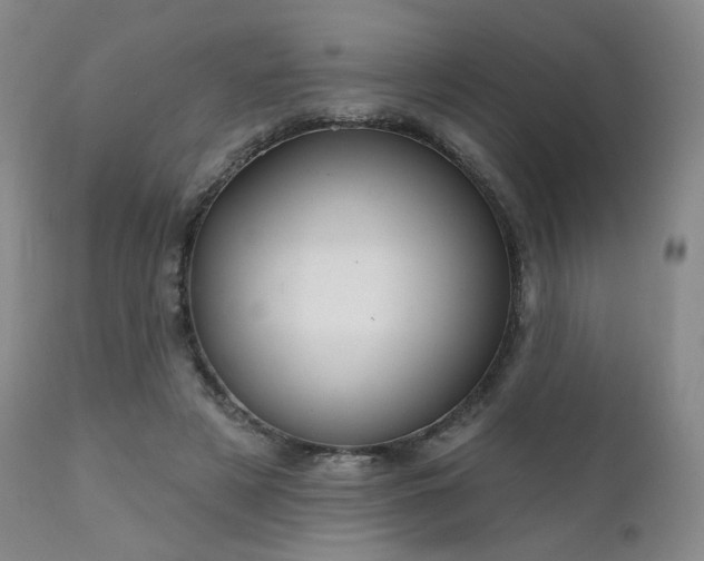 X0000111510497200907141339