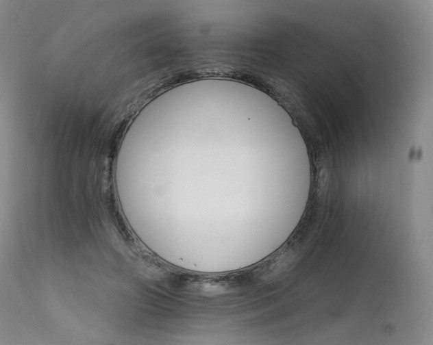 X0000111510498200907141339
