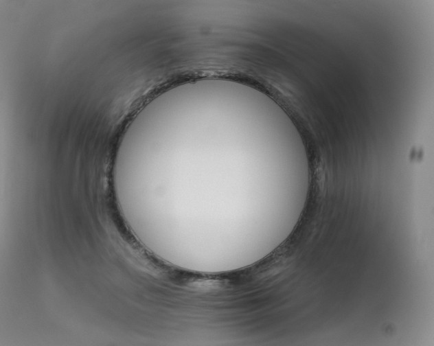 X0000111510499200907141339