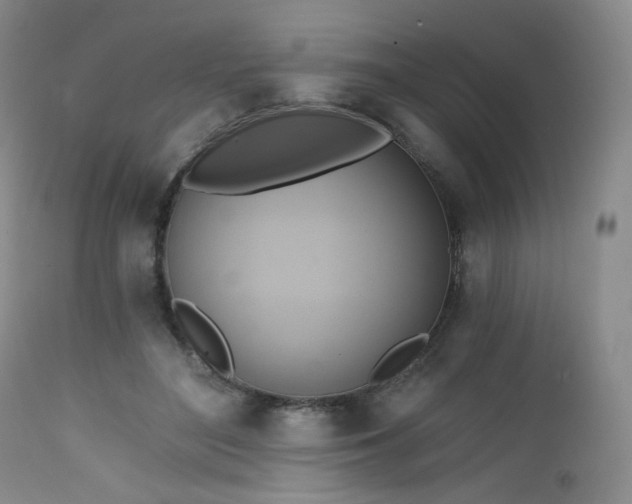 X0000111510500200907141339
