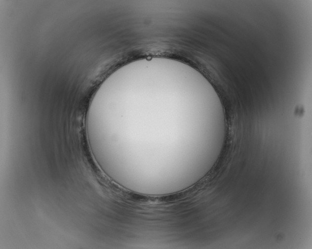 X0000111510503200907141339