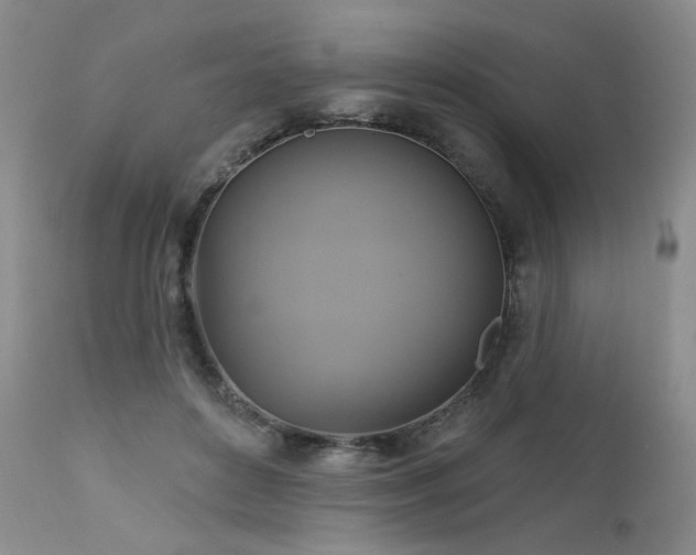 X0000111510504200907141339
