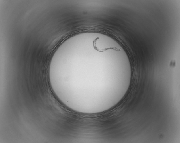 X0000111510505200907141339