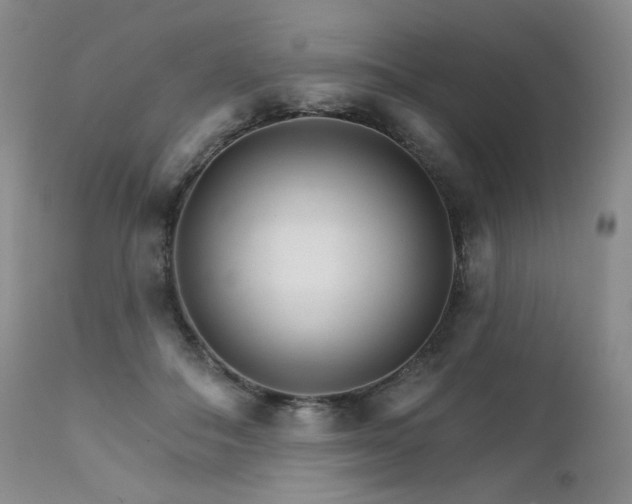 X0000111510506200907141339