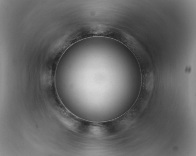 X0000111510510200907141339