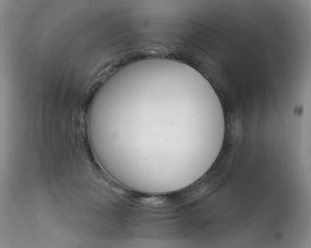 X0000111510511200907141339