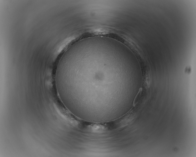 X0000111510512200907141339