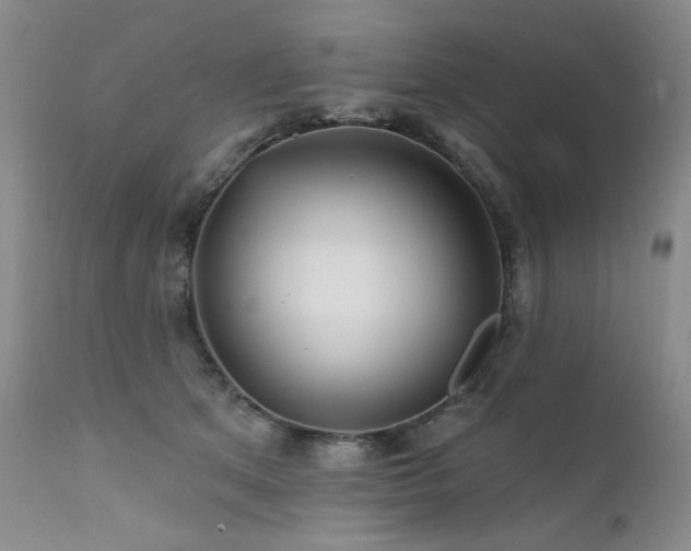 X0000111510513200907141339