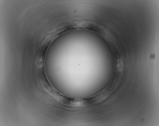 X0000111510514200907141339