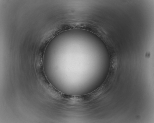 X0000111510515200907141339