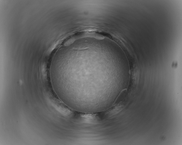 X0000111510516200907141339