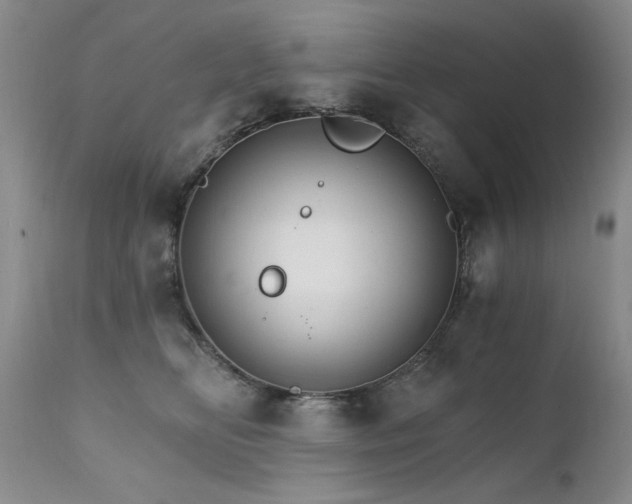X0000111510518200907141339