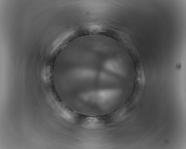 X0000111510519200907141339