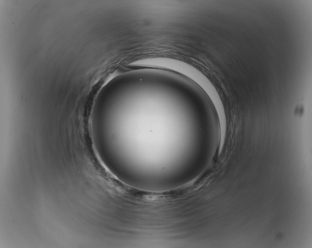 X0000111510520200907141339
