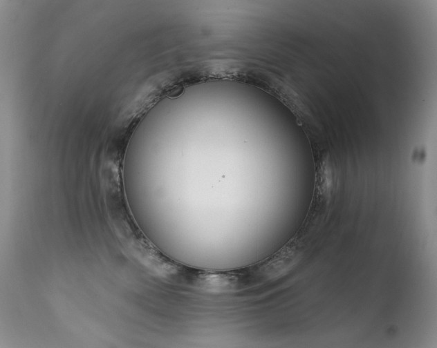 X0000111510522200907141339
