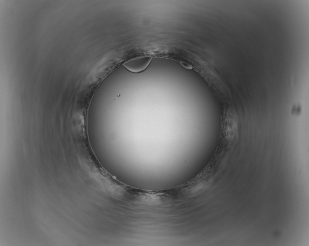 X0000111510523200907141339
