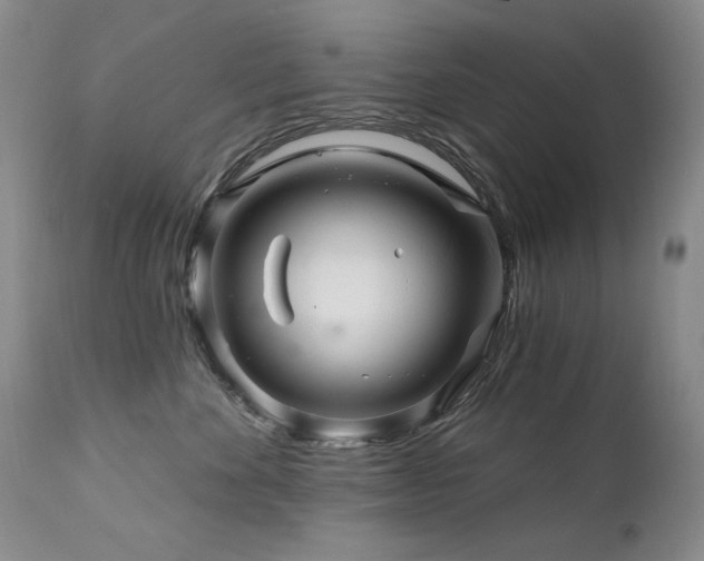 X0000111510524200907141339