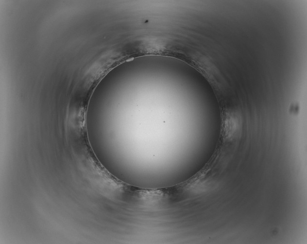 X0000111510525200907141339
