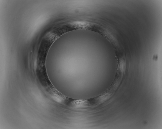 X0000111510526200907141339