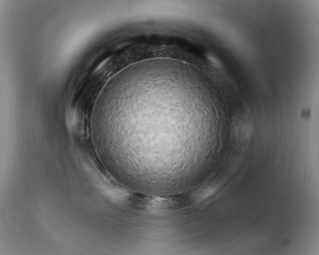 X0000111510527200907141339