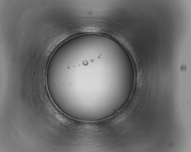 X0000111510529200907141338