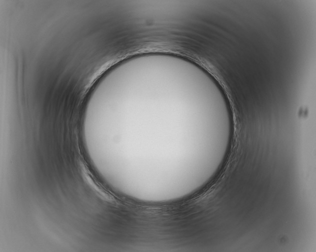 X0000111510530200907141338
