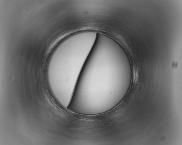 X0000111510531200907141338