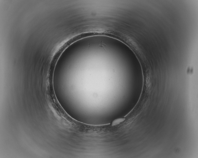 X0000111510532200907141338