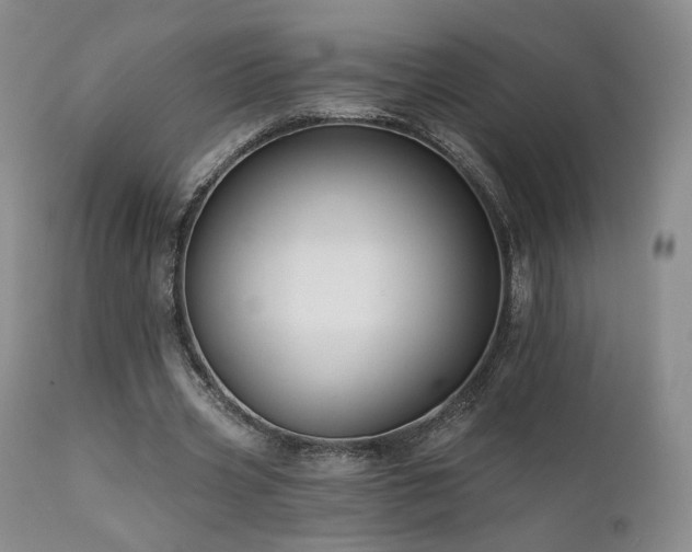 X0000111510533200907141338