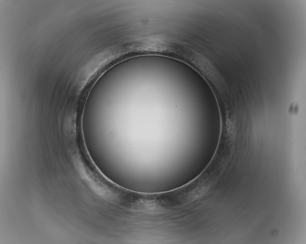 X0000111510534200907141338