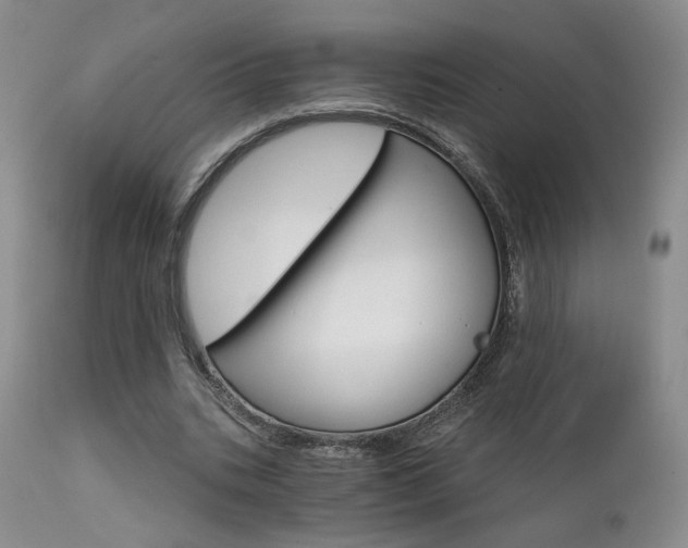 X0000111510535200907141338