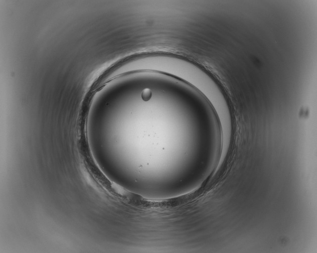 X0000111510536200907141339