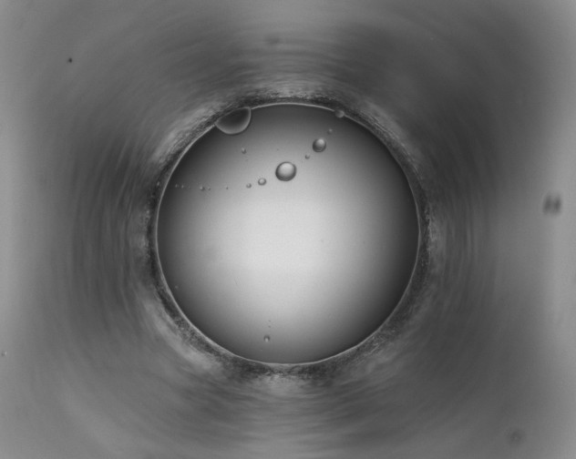 X0000111510537200907141339