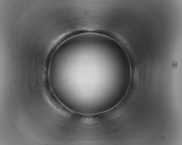 X0000111510540200907141339