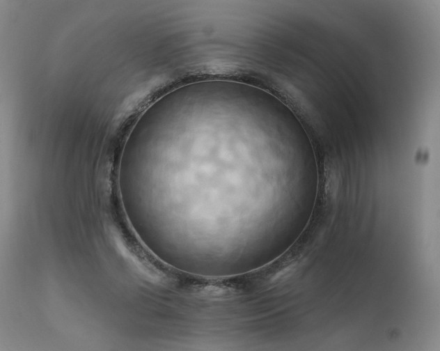 X0000111510542200907141339