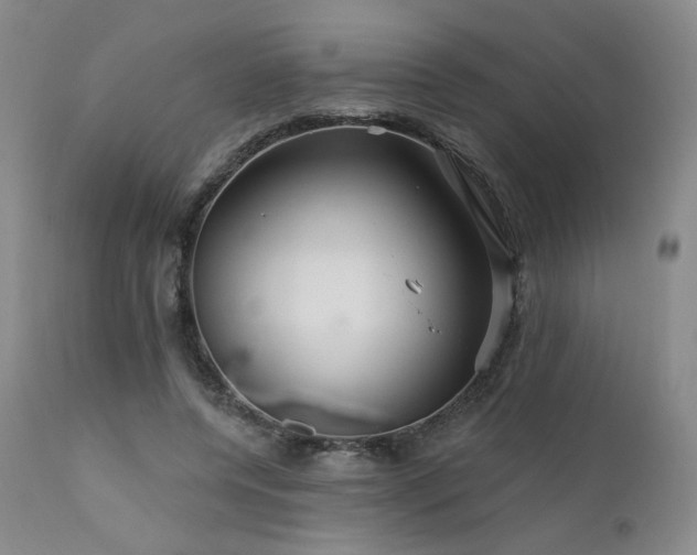 X0000111510544200907141339