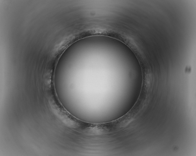 X0000111510545200907141339