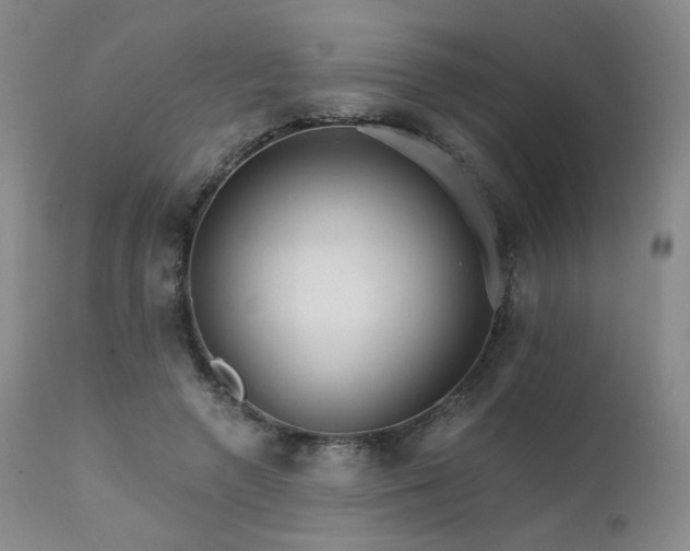 X0000111510546200907141339