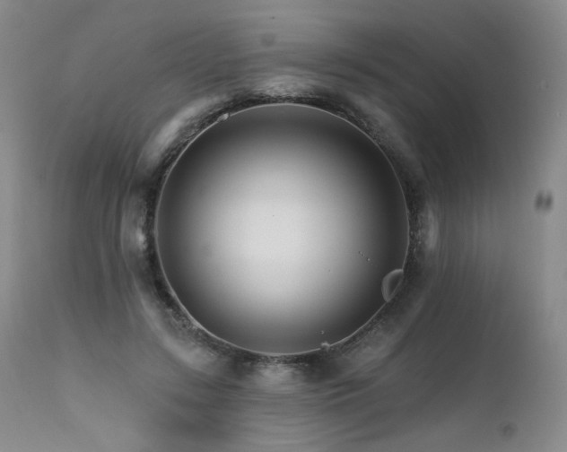 X0000111510547200907141339