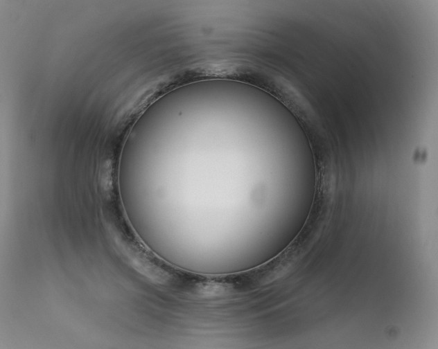 X0000111510549200907141339