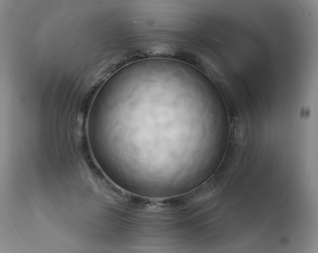 X0000111510550200907141339