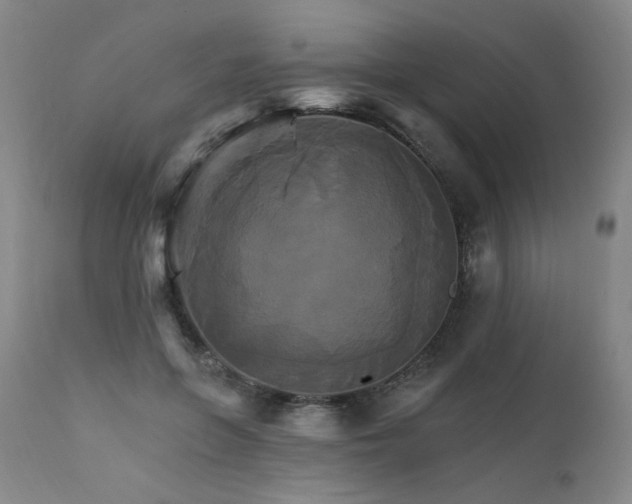 X0000111510551200907141339
