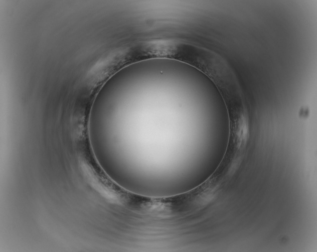 X0000111510553200907141339