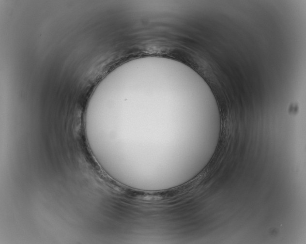 X0000111510554200907141339