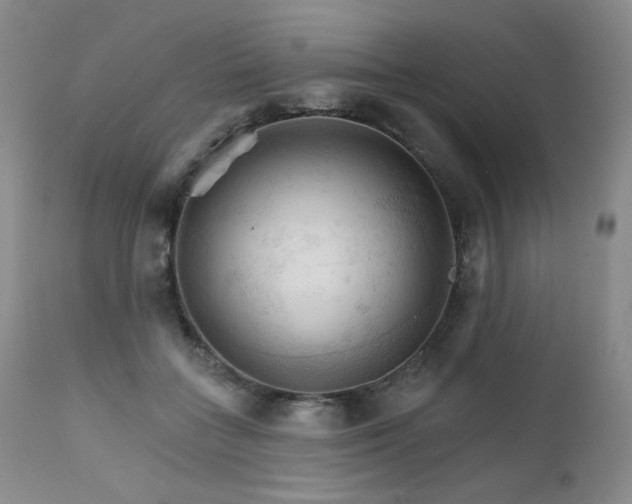 X0000111510555200907141339