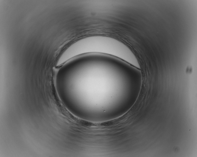 X0000111510556200907141339