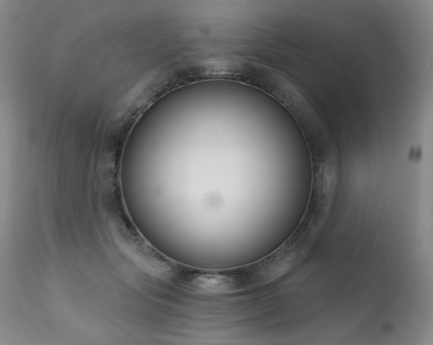 X0000111510557200907141339