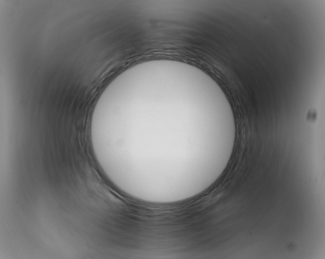 X0000111510558200907141339