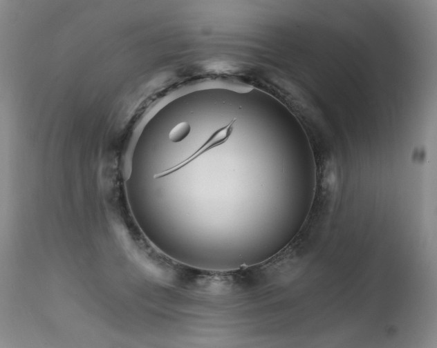 X0000111510559200907141339