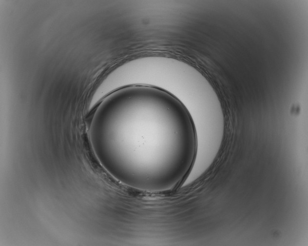 X0000111510560200907141339